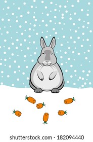 Fat rabbit with carrot