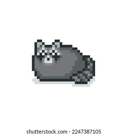 Fat raccoon, pixel art animal