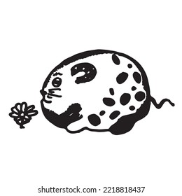fat rat with spots in front of a little flower