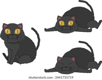fat and sluggish black cat