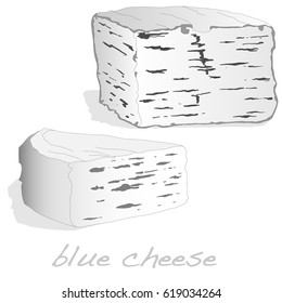 fat soft blue cheese isolated illustration