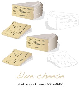 fat soft blue cheese isolated illustration
