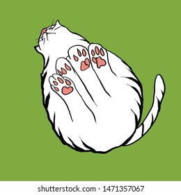 A fat striped cat from the bottom