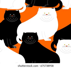 Fat white and black cat pattern. Big Thick pet home background
