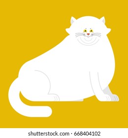 Fat white cat isolated. Big Thick pet home
