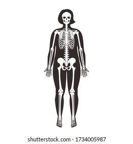 Fat woman skeleton anatomy in front view. Vector isolated flat illustration of human skull and bones in female body. Halloween, medical, educational or science banner