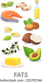 Fats healthy macronutrients chart. Cartoon food icon isolated on white background