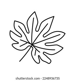 fatsia japonica tropical leaf line icon vector. fatsia japonica tropical leaf sign. isolated contour symbol black illustration