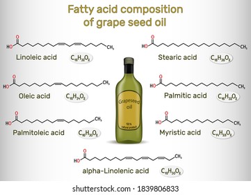 Fatty acid composition of grape seed oil. Chemical compounds: palmitic acid, stearic, palmitoleic, oleic, linoleic, alpha-linolenic acid. Structural chemical formulas. Vector illustration