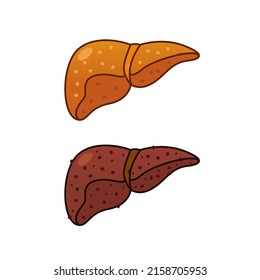 Fatty Liver Icon Vector Illustration