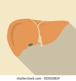 Fatty liver. Simple cartoon flat vector illustration with long shadow