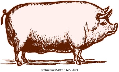 The Fatty Pig In Illustration With Time-worn Effect Of Old Etching