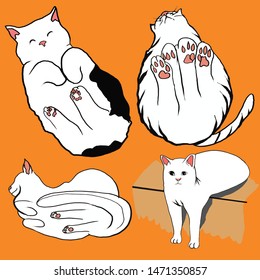 fatty striped cat versus slim white cat