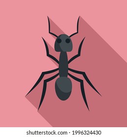 Fauna ant icon. Flat illustration of Fauna ant vector icon for web design