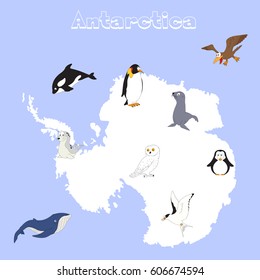 Fauna of Antarctica. Set of cartoon polar animals for babies and little kids