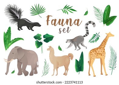 Fauna in cartoon style set isolated elements. Vector illustration