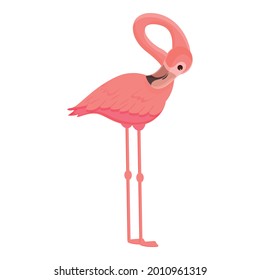 Fauna flamingo icon cartoon vector. Pink tropical bird. Summer flamingo