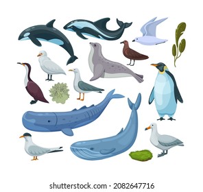 Fauna y flora de la Antártida. Animales antárticos, aves, mamíferos náuticos, plantas. Ballena asesina de hábitat marino, foca de piel, gaviota, pingüino, delfín, musgo. Vector plano geográfico de viajes