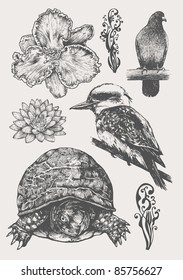 fauna and flora design element set, engraved retro style. vector illustration