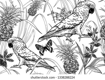 The fauna and flora of rainforest. Seamless vector background. Parrot, orchid flowers, butterfly and pineapple fruit. Vintage engraving. Vector illustration. Wildlife pattern. White and black.