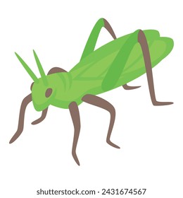 Fauna grasshopper icon isometric vector. Pest happy insect. Creature natural