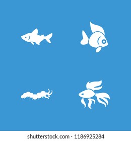 Fauna icon. collection of 4 fauna filled icons such as fish. editable fauna icons for web and mobile.