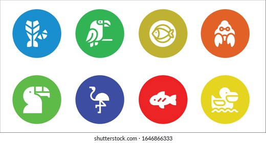 fauna icon set. 8 filled fauna icons.  Simple modern icons such as: Fish, Toucan, Parrot, Flamingo, Hermit crab, Pelican