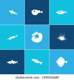 Fauna icon set and arctic char fish with sturgeon, sea urchin and fin. Fish related fauna icon vector for web UI logo design.