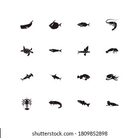 Fauna icon set and arctic char fish with harbor seal, octopus and swordfish. Grouper fish related fauna icon vector for web UI logo design.