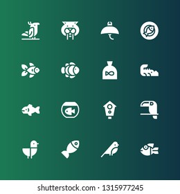 fauna icon set. Collection of 16 filled fauna icons included Fish, Bird, Seagull, Toucan, Aviary, Crocodile, Clown fish, Goldfish, Manta ray, Saber toothed tiger, Parrot