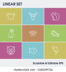 Fauna icon set and panda with squirrel, fish and lizard. Bear related fauna icon vector for web UI logo design.