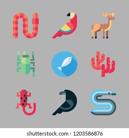 fauna icon set. vector set about salamander, parrot, fishes and coral icons set.