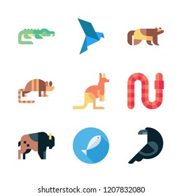 fauna icon set. vector set about armadillo, kangaroo, bison and wolverine icons set.