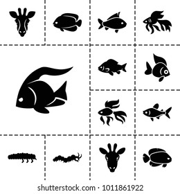 Fauna icons. set of 13 editable filled fauna icons such as giraffe, fish