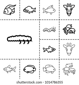 Fauna icons. set of 13 editable outline fauna icons such as giraffe, fish