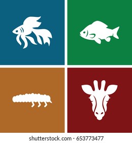 Fauna icons set. set of 4 fauna filled icons such as giraffe, fish