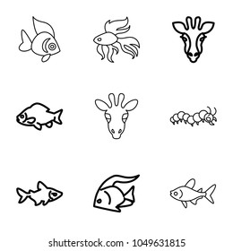 Fauna icons. set of 9 editable outline fauna icons such as giraffe, fish