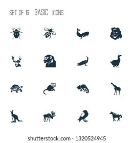 Fauna icons set with bug, goose, chamelon and other deer elements. Isolated vector illustration fauna icons.