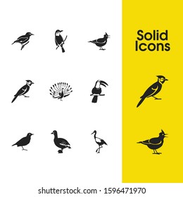 Fauna icons set with bulbul, golden oriole and goose elements. Set of fauna icons and tailor bird concept. Editable vector elements for logo app UI design.
