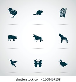 Fauna icons set with bull, hyena, zebra and other mallard elements. Isolated vector illustration fauna icons.