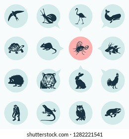 Fauna icons set with cachalote, seacow, swift and other bunny elements. Isolated vector illustration fauna icons.