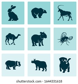Fauna icons set with camel, fly, rhino and other hippopotamus elements. Isolated vector illustration fauna icons.