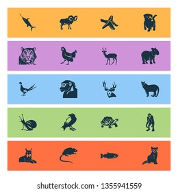 Fauna icons set with chimpanzee, snail, pheasant and other cheetah elements. Isolated vector illustration fauna icons.