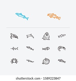Fauna icons set. Crab and fauna icons with sea turtle, cod fish and atlantic bottlenose dolphin. Set of zoo for web app logo UI design.