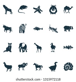 Fauna icons set with grasshopper, elephant, hyena and other horse elements. Isolated vector illustration fauna icons.