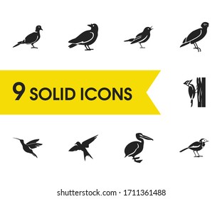 Fauna icons set with humming bird, dove and nightingale elements. Set of fauna icons and blackbird concept. Editable vector elements for logo app UI design.