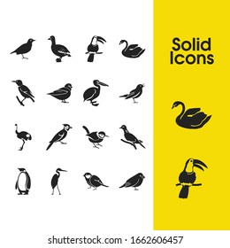 Fauna icons set with ostrich, jay bird and pelican elements. Set of fauna icons and woodpecker concept. Editable vector elements for logo app UI design.