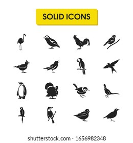 Fauna icons set with parrot, swallow and skylark elements. Set of fauna icons and wagtail concept. Editable vector elements for logo app UI design.