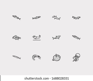 Fauna icons set. Saury and fauna icons with harbor seal, pike fish and gemfish. Set of cartoon for web app logo UI design.