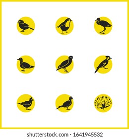 Fauna icons set with seagull, robin bird and dove elements. Set of fauna icons and heron concept. Editable vector elements for logo app UI design.